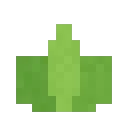 Feuilles de thé