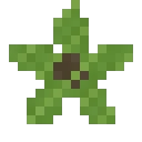 Fruit de kolatier